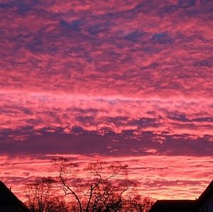 Meet your Posher, Jen